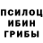 Галлюциногенные грибы Psilocybe dima348870