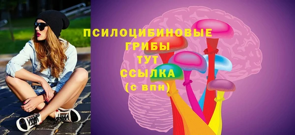 стаф Алзамай