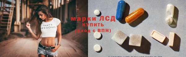 гашик Алексин