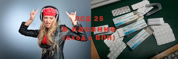 стаф Алзамай