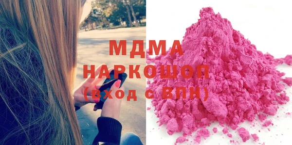 гашик Алексин