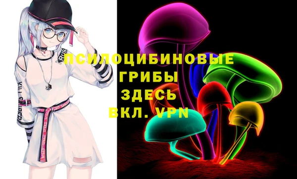 стаф Алзамай