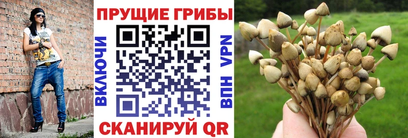 Галлюциногенные грибы мухоморы  наркота  Заозёрный 